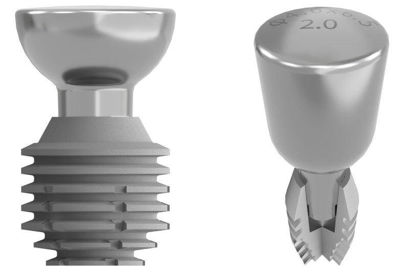 Bicon Dental Implant System