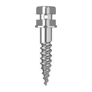 stainless steel orthodontic screw