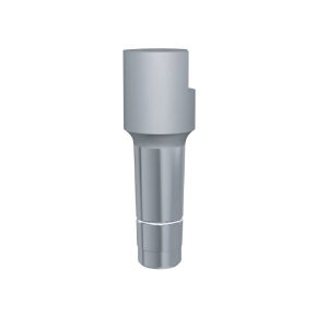 Bicon Scannable Temporary Abutment Compatible